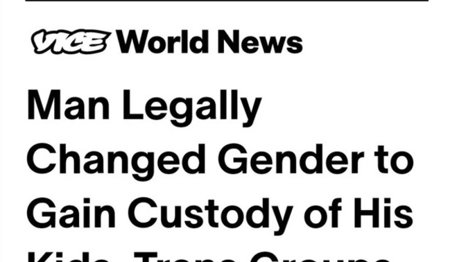 Man Legally changed gender to gain custody of his kids?