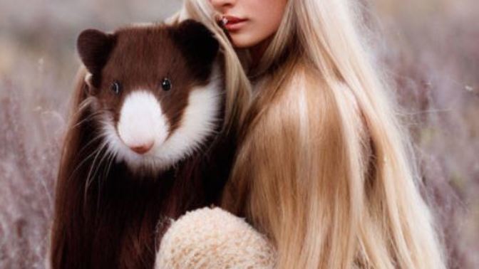 What do you think of this picture and of the animal on it? What animal is that?