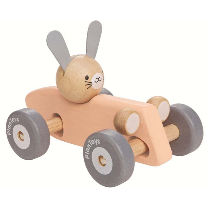 Do you have a dream car?