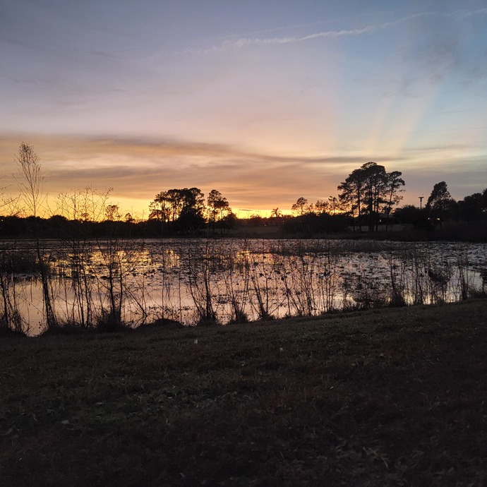 When was the last time you got to witness the beauty that the earth provides us, and what was it?