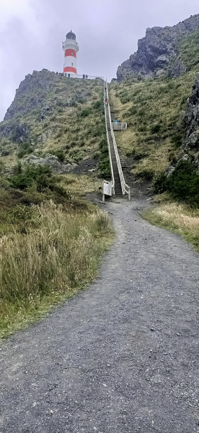 Are you afraid of heights?