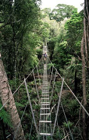 Are you afraid of heights?
