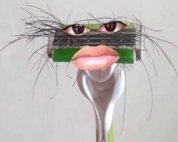 Do most womens razors on February 13th look like the photo?