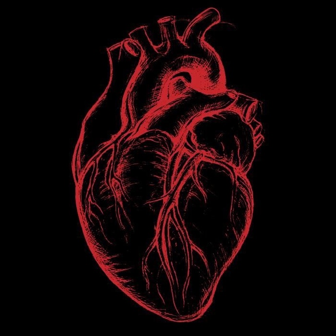 How does a bullet to the heart cause instant death, wouldn’t you need to bleed out or something?