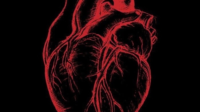 How does a bullet to the heart cause instant death, wouldn’t you need to bleed out or something?