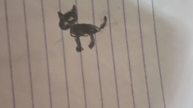 Do you see a dog or a cat 🐶🐱?