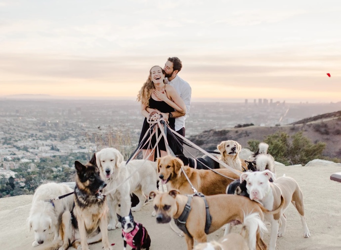 You’ve met the love of your life but they own 10 dogs and are a huge dog lover so they come as a package, would you still accept them?