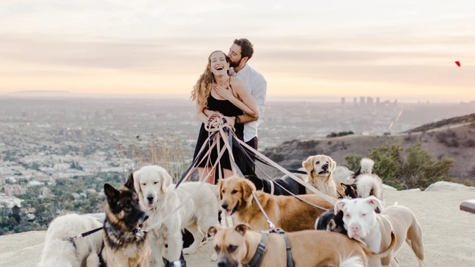 You’ve met the love of your life but they own 10 dogs and are a huge dog lover so they come as a package, would you still accept them?