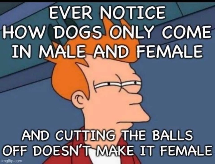 Do you consider Transmaxxing: the Incel-To-Transwoman Pipeline, to be a good thing or a bad thing?