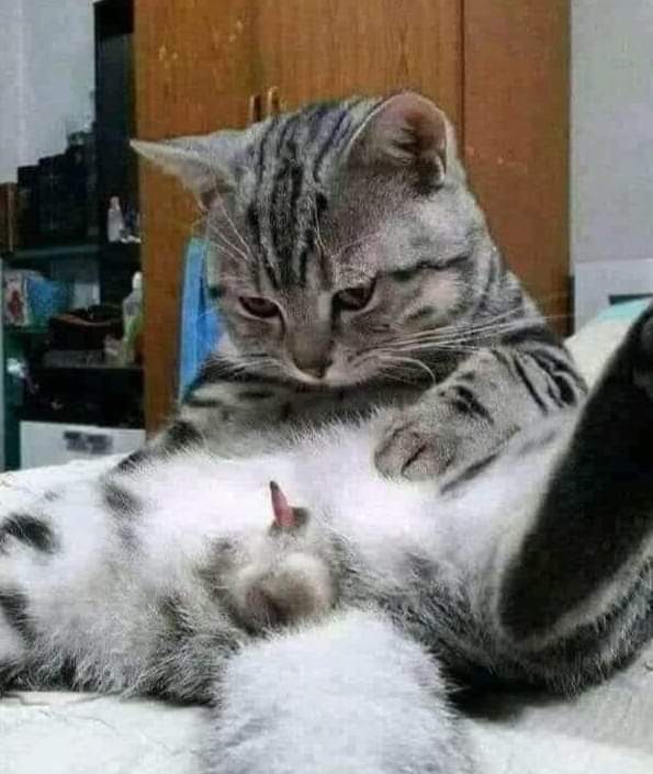 Have you ever dream about Ghost 👻?