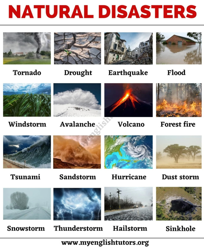 Have you ever been through a natural disaster? Which one (s)?