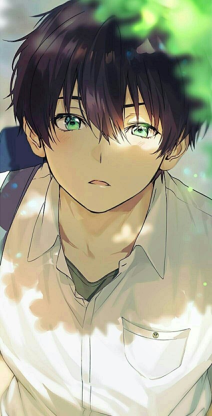 You think anime characters would be the most attractive if they were real, especially the ones mentioned?