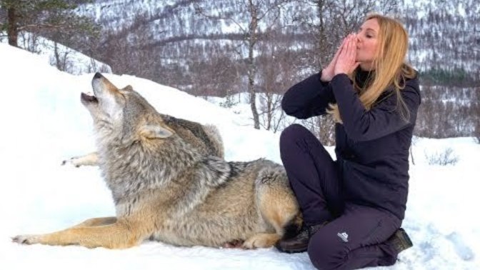 How does she howl with wolves?