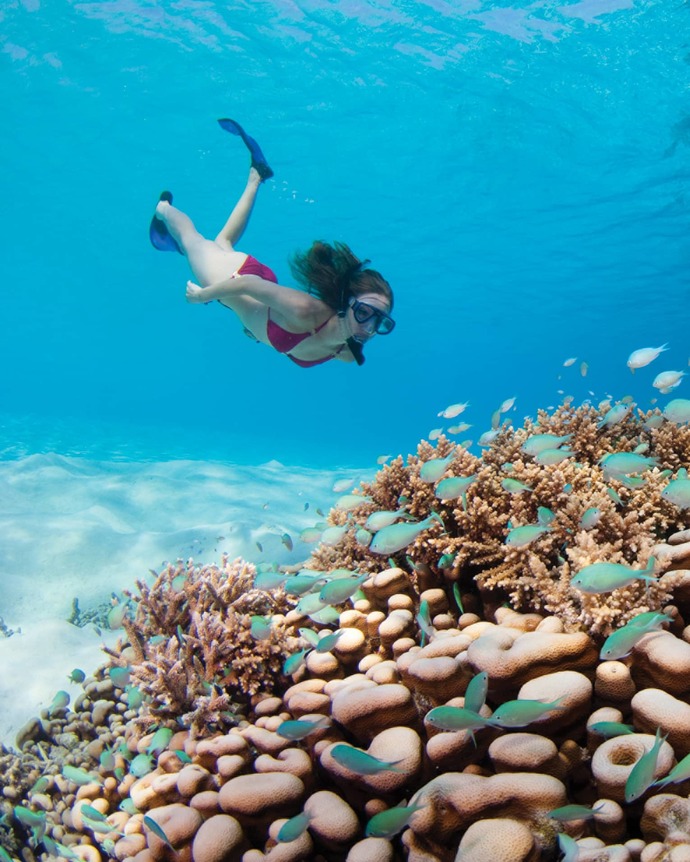 Have you ever been to bora bora?