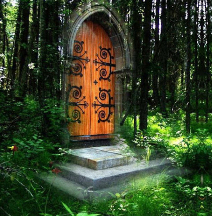 If You Were Walking & A Mysterious Door Suddenly Appeared Would You Walk In It?