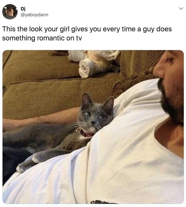 Funny examples of marital bliss? Can you contribute a joke or meme?