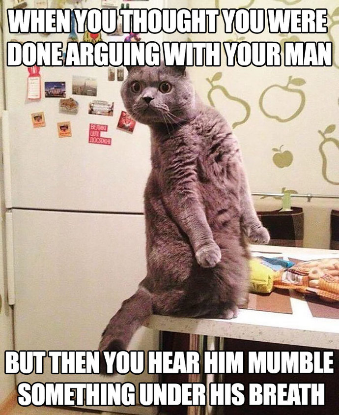 Funny examples of marital bliss? Can you contribute a joke or meme?