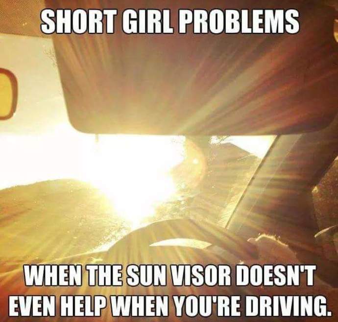 Fellow Hobbits whats your experience living in a tall person's world?