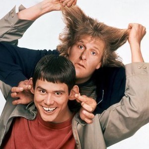 Fellow Hobbits whats your experience living in a tall person's world?