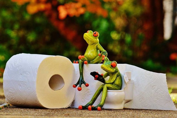 Do you go poop/#2 the same time everyday or at random times?