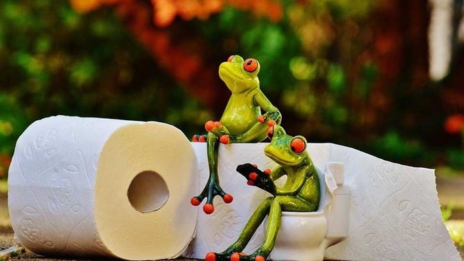 Do you go poop/#2 the same time everyday or at random times?