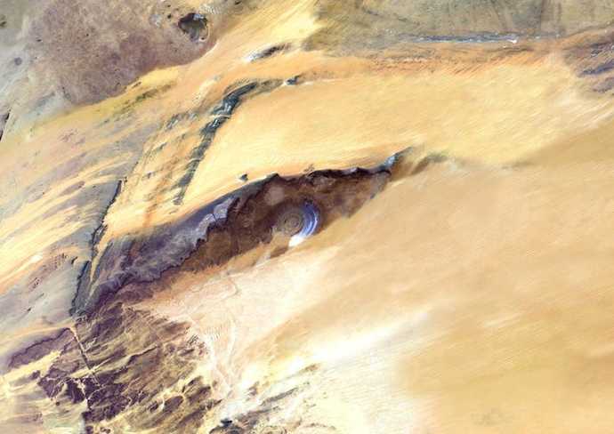Was there a T. rex in the garden of Eden?