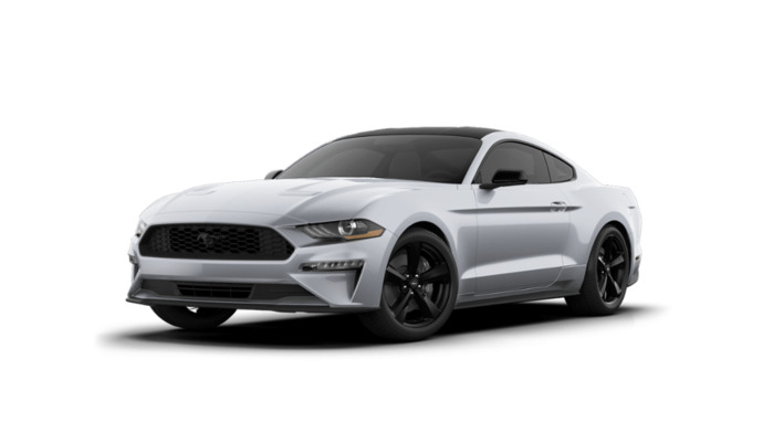 Which of these 2023 Sport/Performance Priced around $30,000-$45,000 I customized is your favorite?