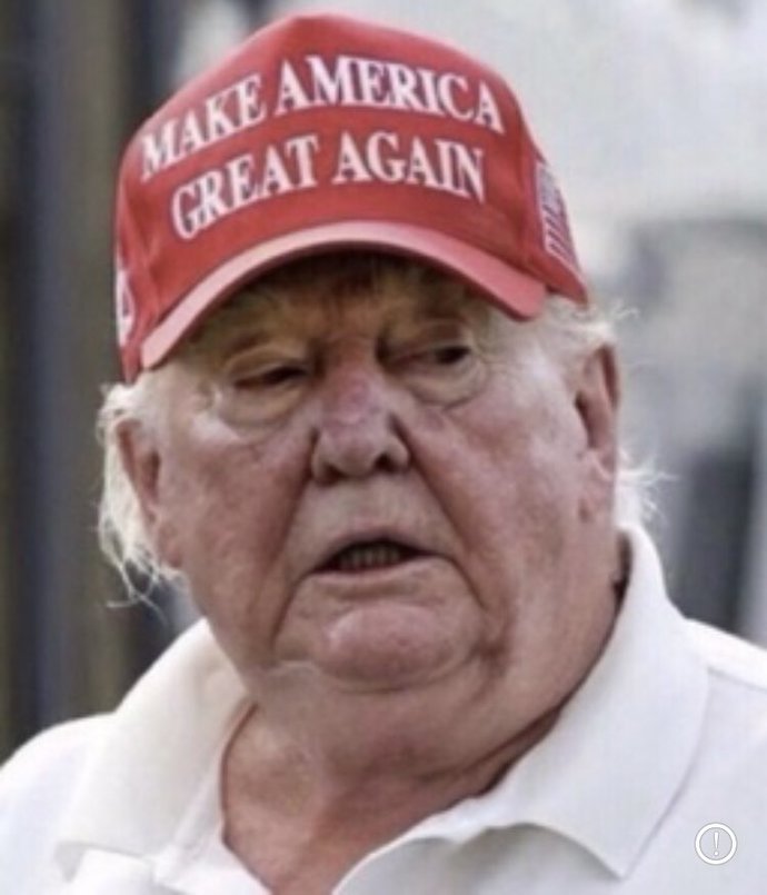 Does Donald Trump look better husky or as a thinner gentleman?