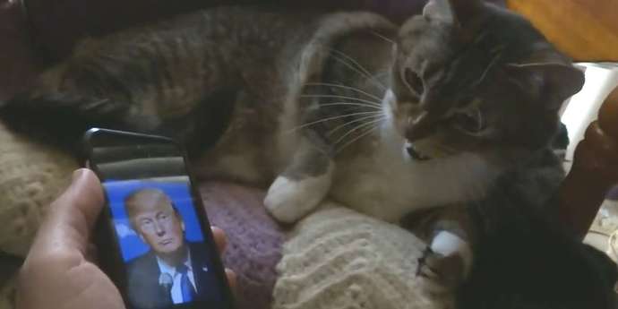 Have you had a racist animal?