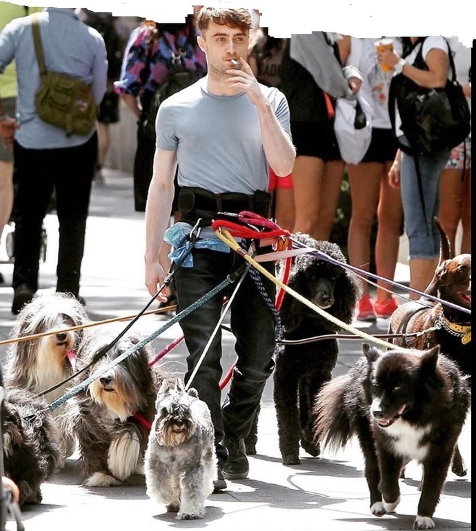 I love hes such a good trainer for dogs cats🥰🥰 who is this gentlemen anyone familiar with it need someone like that to teach me look after pets?