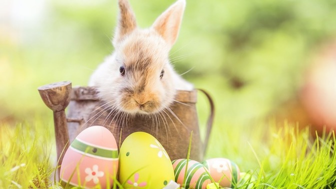 Is there a holiday in the year that you dislike?