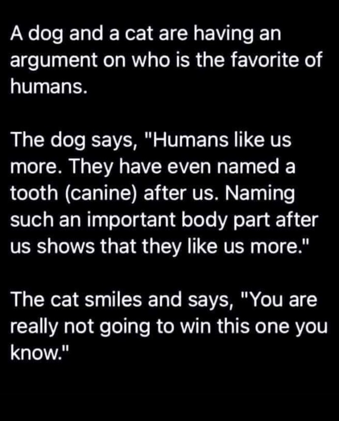 You find this joke funny?