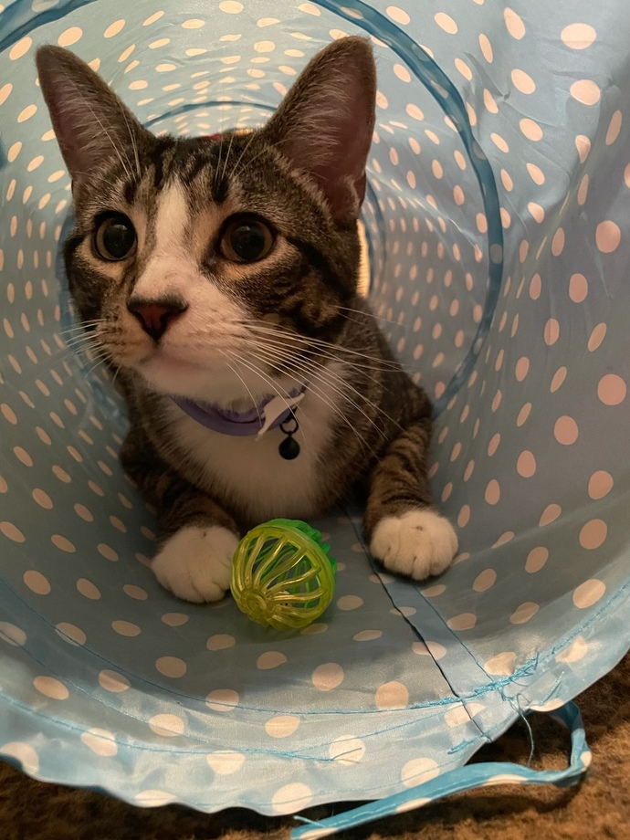 Hereโs mine