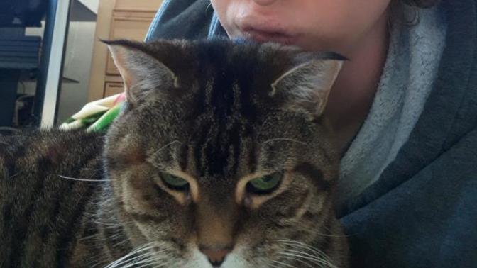Does my cat have the most beautiful green eyes I can't help but kiss her?