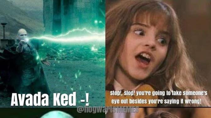 How many people are HP fan's here?