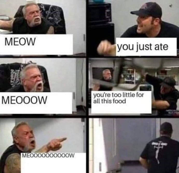 If you heard a grown ass middle aged man purr and meow loudly at his cat when he comes home would you think he was a bit odd?