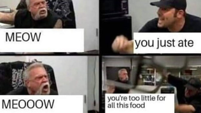 If you heard a grown ass middle aged man purr and meow loudly at his cat when he comes home would you think he was a bit odd?