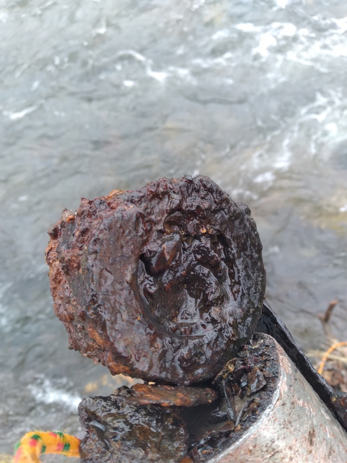 Magnet Fishing