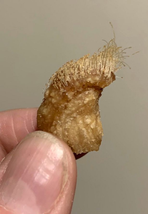 Hairy pork scratching/crackling, yah or nah?