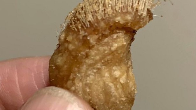 Hairy pork scratching/crackling, yah or nah?