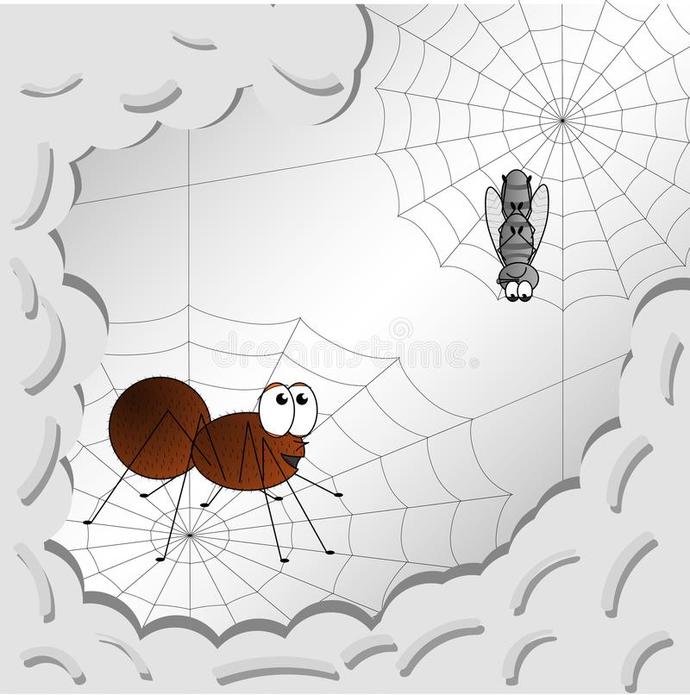 If YOU were a spider and a fly got itself stuck in your web how would you ‘take care’ of it?