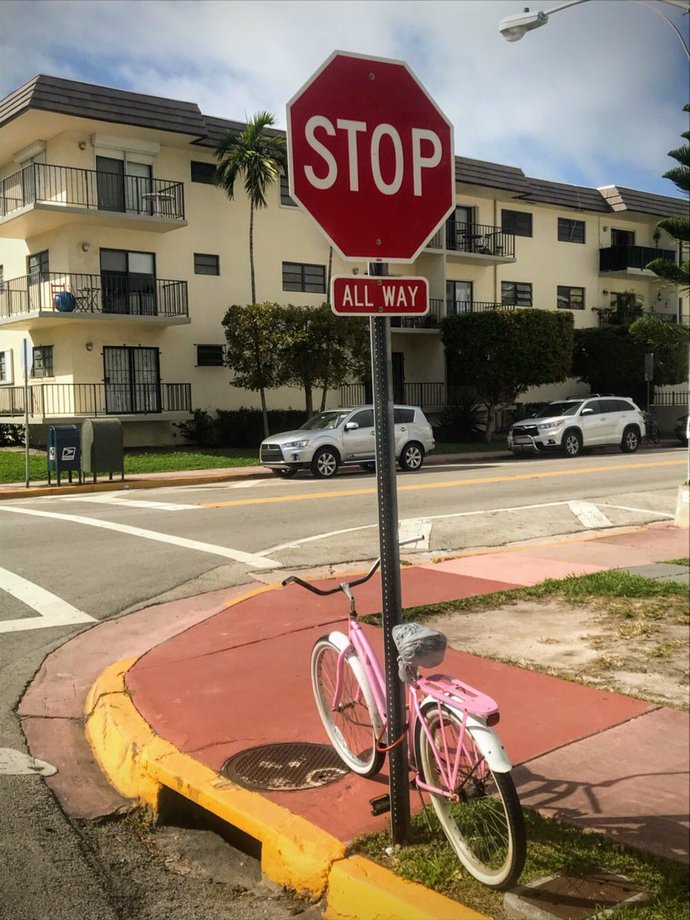 What would you do if you saw a drunk lady flirting with a stop sign?