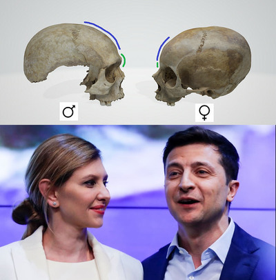 What do you think about Zelensky's last ‘Stand-up Show’?