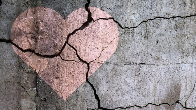 Do you believe people (and some animals) can die from a broken heart?