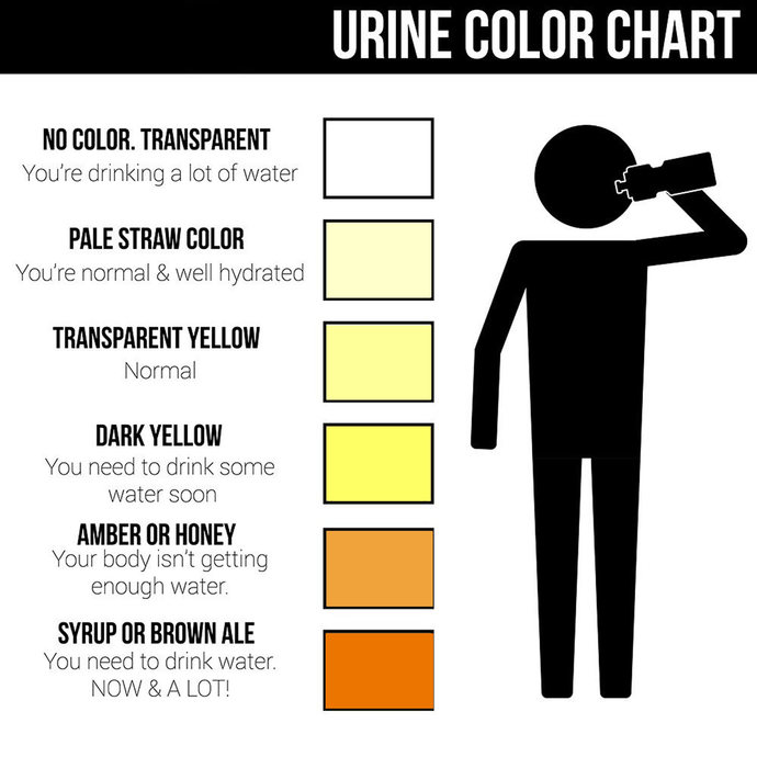 How do you describe this urine bottle?