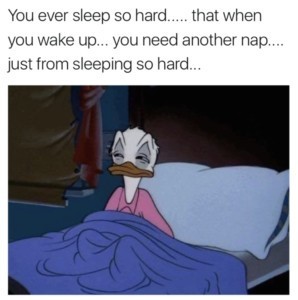Anyone else here nocturnal?