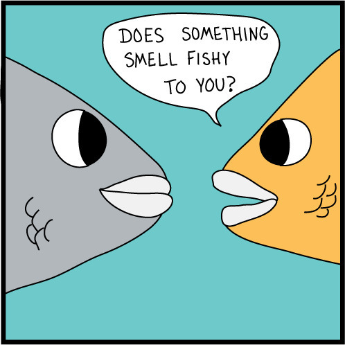 Fun today: Who, or what am I, is there something fishy?