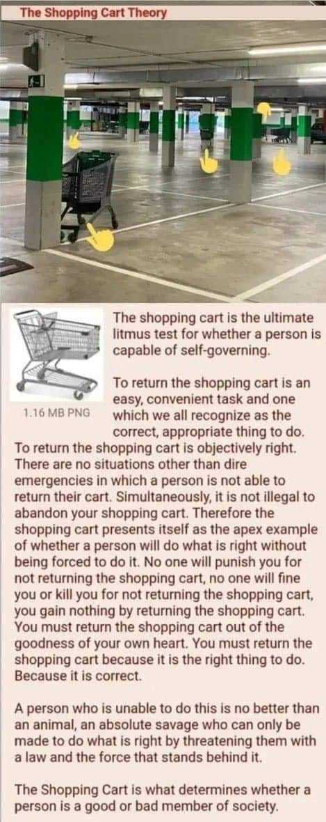 Do you think the Shopping Cart Theory determines whether a person is good or not?