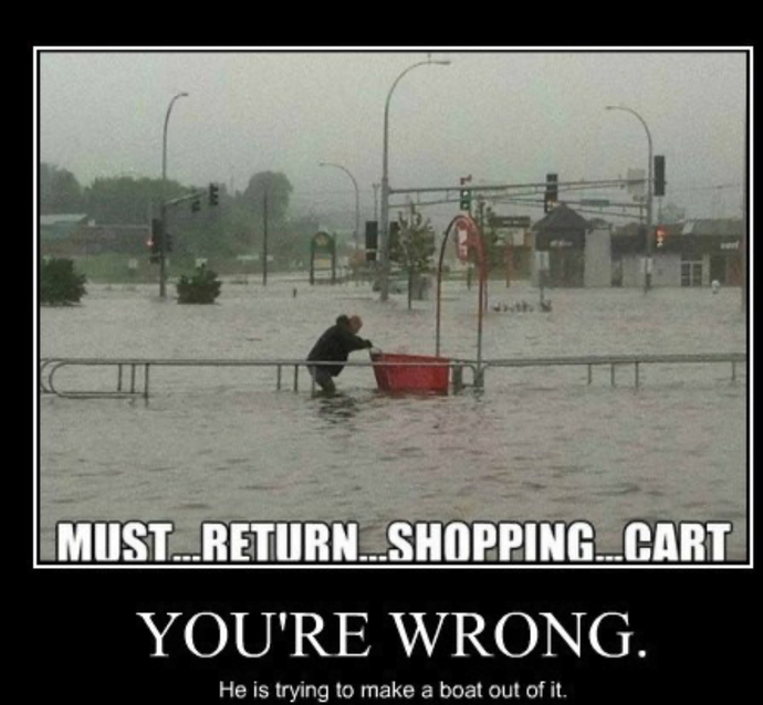 Do you think the Shopping Cart Theory determines whether a person is good or not?