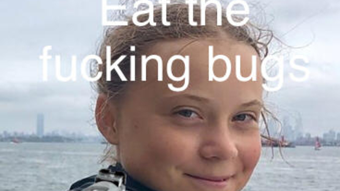 Do you think in the future we will restricted travel, no free media (no fake news), have to eat bugs, only allowed one child, be microchipped?